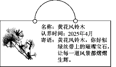 26春统编版语文八年级下册期末试卷一-第9张图片-四季读书网 26春统编版语文八年级下册期末试卷一-第9张图片-四季读书网