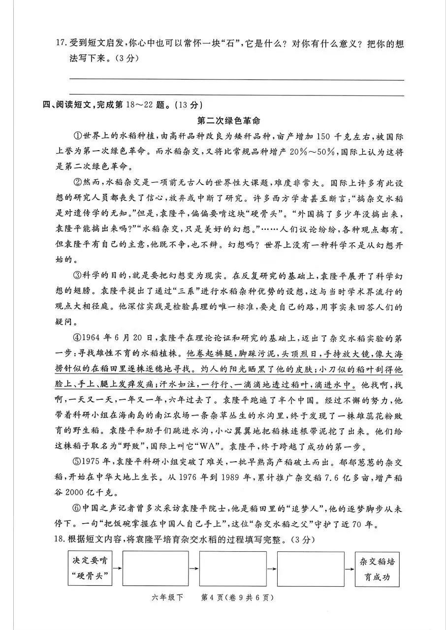 26版语文六年级下册《期末真题情境卷》4套有答案-第4张图片-四季读书网 26版语文六年级下册《期末真题情境卷》4套有答案-第4张图片-四季读书网