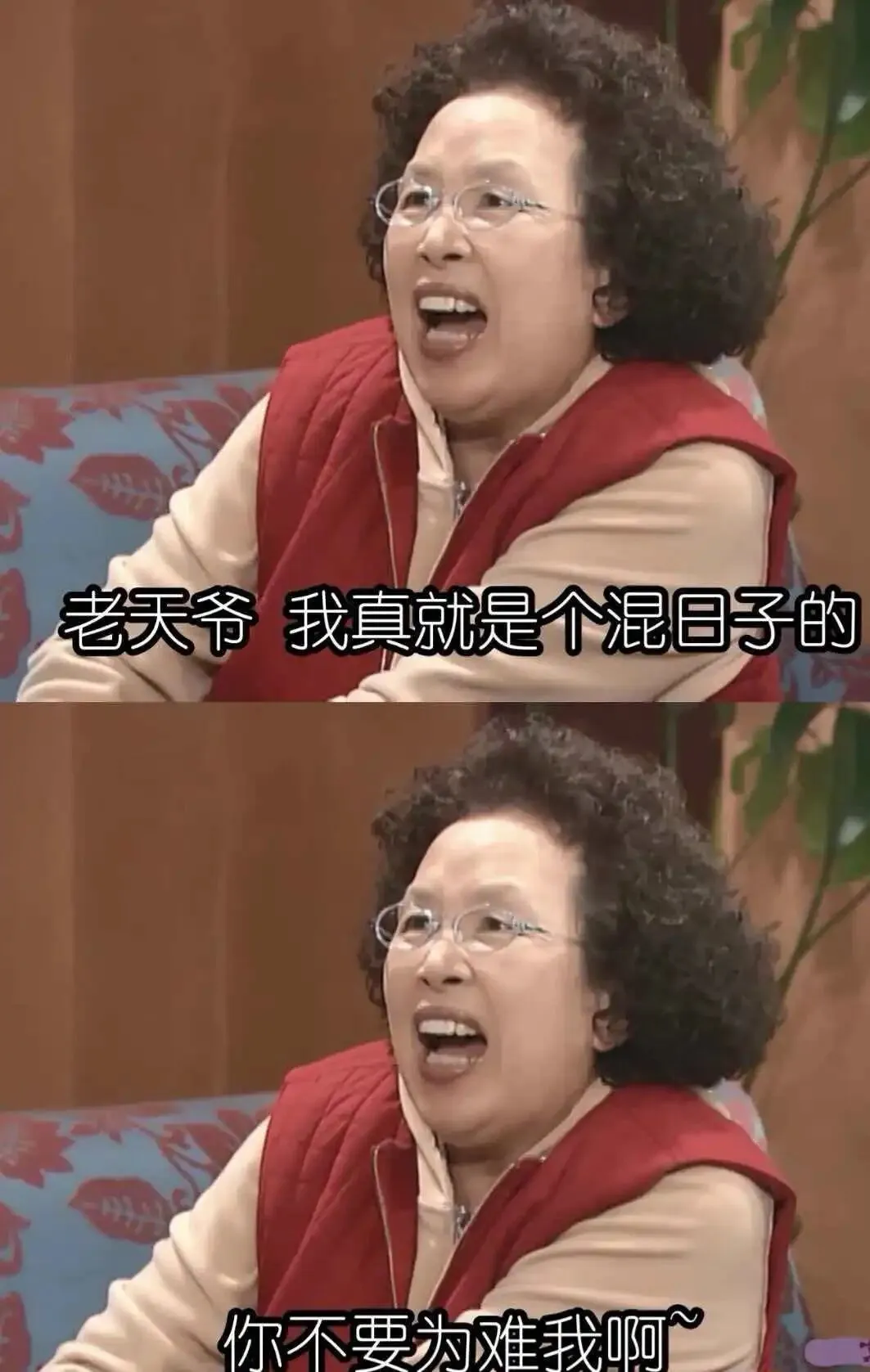 中考还有10天,我可忙坏了-第3张图片-四季读书网 中考还有10天,我可忙坏了-第3张图片-四季读书网