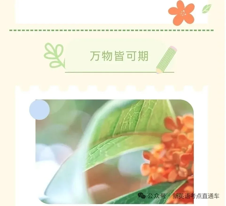 新人教版英语七下中考短语(复习版及默写版)-第16张图片-四季读书网