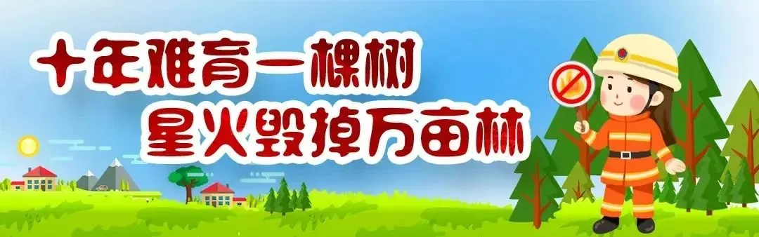 事关中考!日照市教育考试院发布重要提醒-第4张图片-四季读书网