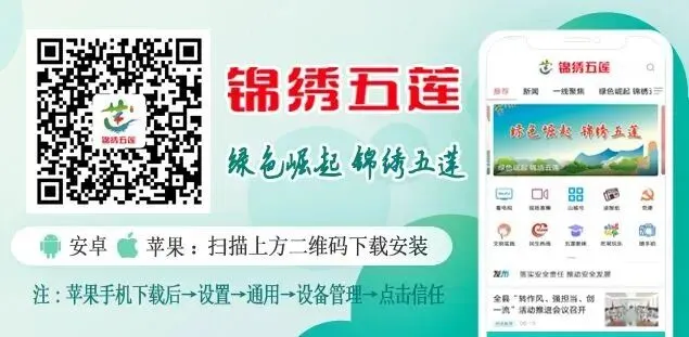 事关中考!日照市教育考试院发布重要提醒-第5张图片-四季读书网