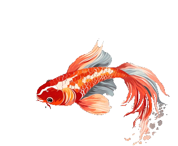 美食助力中考——攀枝花市外国语学校2026中考食谱-第1张图片-四季读书网 美食助力中考——攀枝花市外国语学校2026中考食谱-第1张图片-四季读书网