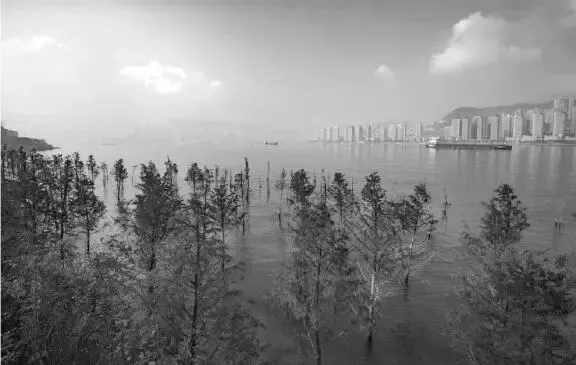 陕西省2026届高三下学期高考模拟地理试卷-第4张图片-四季读书网 陕西省2026届高三下学期高考模拟地理试卷-第4张图片-四季读书网