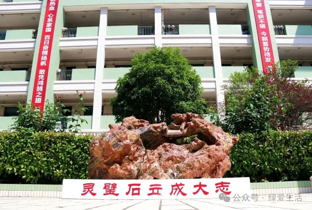 【盐城中考志愿】市区19所高中招生简章汇总-第25张图片-四季读书网 【盐城中考志愿】市区19所高中招生简章汇总-第25张图片-四季读书网