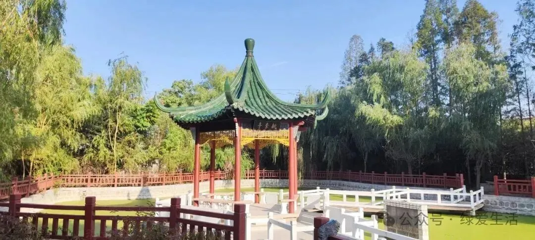 【盐城中考志愿】市区19所高中招生简章汇总-第122张图片-四季读书网 【盐城中考志愿】市区19所高中招生简章汇总-第122张图片-四季读书网