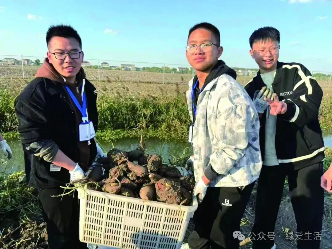 【盐城中考志愿】市区19所高中招生简章汇总-第179张图片-四季读书网 【盐城中考志愿】市区19所高中招生简章汇总-第179张图片-四季读书网