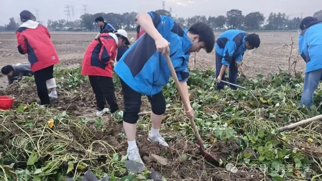 【盐城中考志愿】市区19所高中招生简章汇总-第243张图片-四季读书网 【盐城中考志愿】市区19所高中招生简章汇总-第243张图片-四季读书网