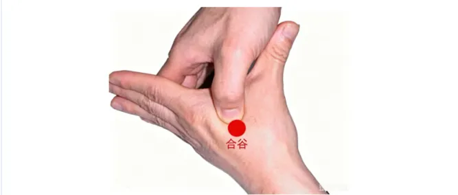 中考减压锦囊 —— 华宁县人民医院助您轻装上阵-第6张图片-四季读书网 中考减压锦囊 —— 华宁县人民医院助您轻装上阵-第6张图片-四季读书网