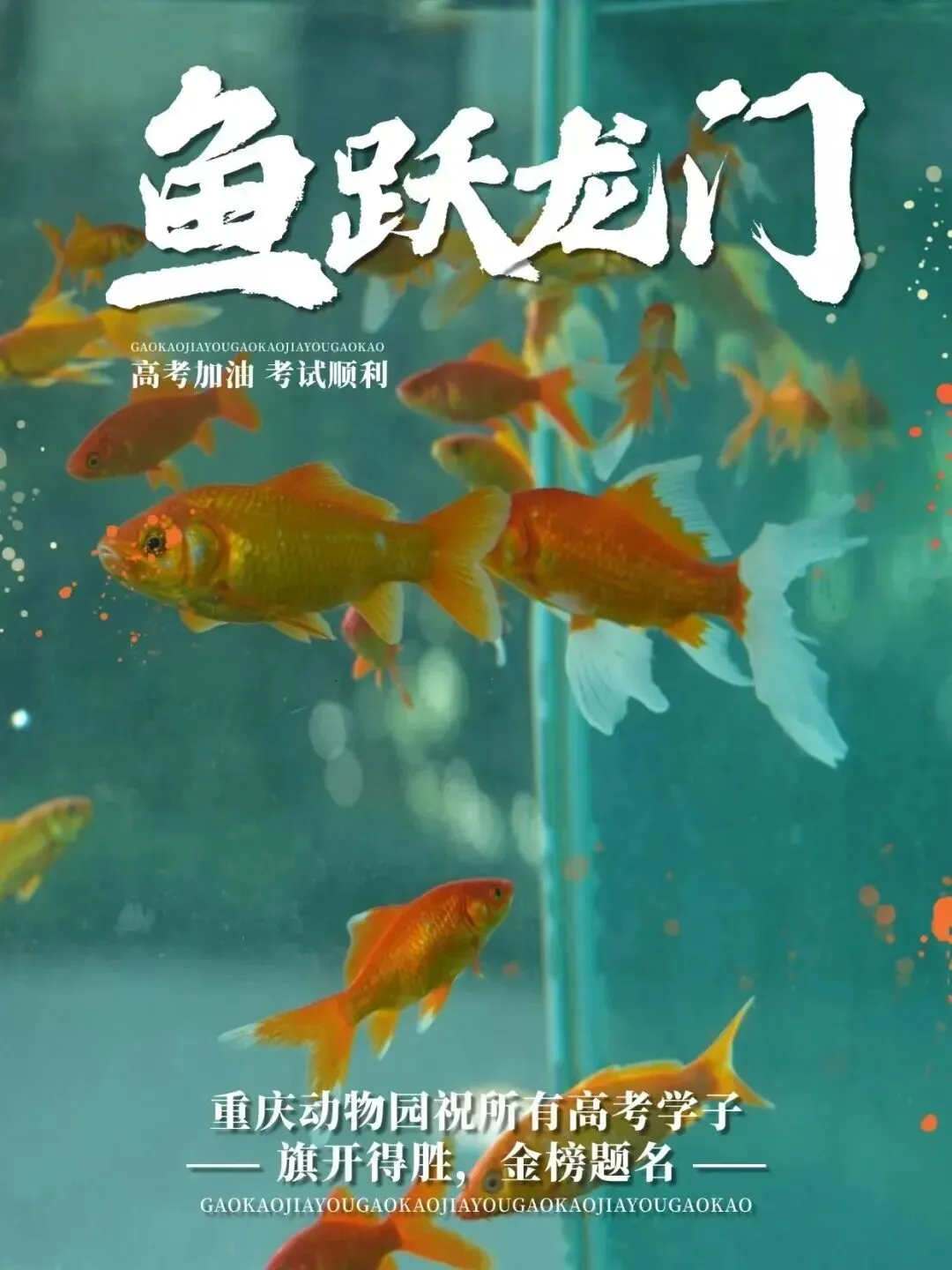 假如重庆动物园有“高考试卷”,你能答对几道?-第13张图片-四季读书网 假如重庆动物园有“高考试卷”,你能答对几道?-第13张图片-四季读书网