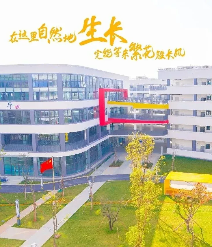中考结束,600分家庭第一步要做什么?-第19张图片-四季读书网 中考结束,600分家庭第一步要做什么?-第19张图片-四季读书网