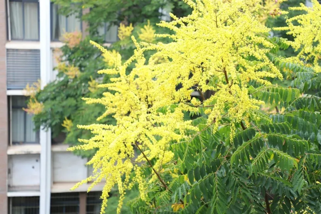 中考特辑②|仲夏之初 少年如芒-第5张图片-四季读书网