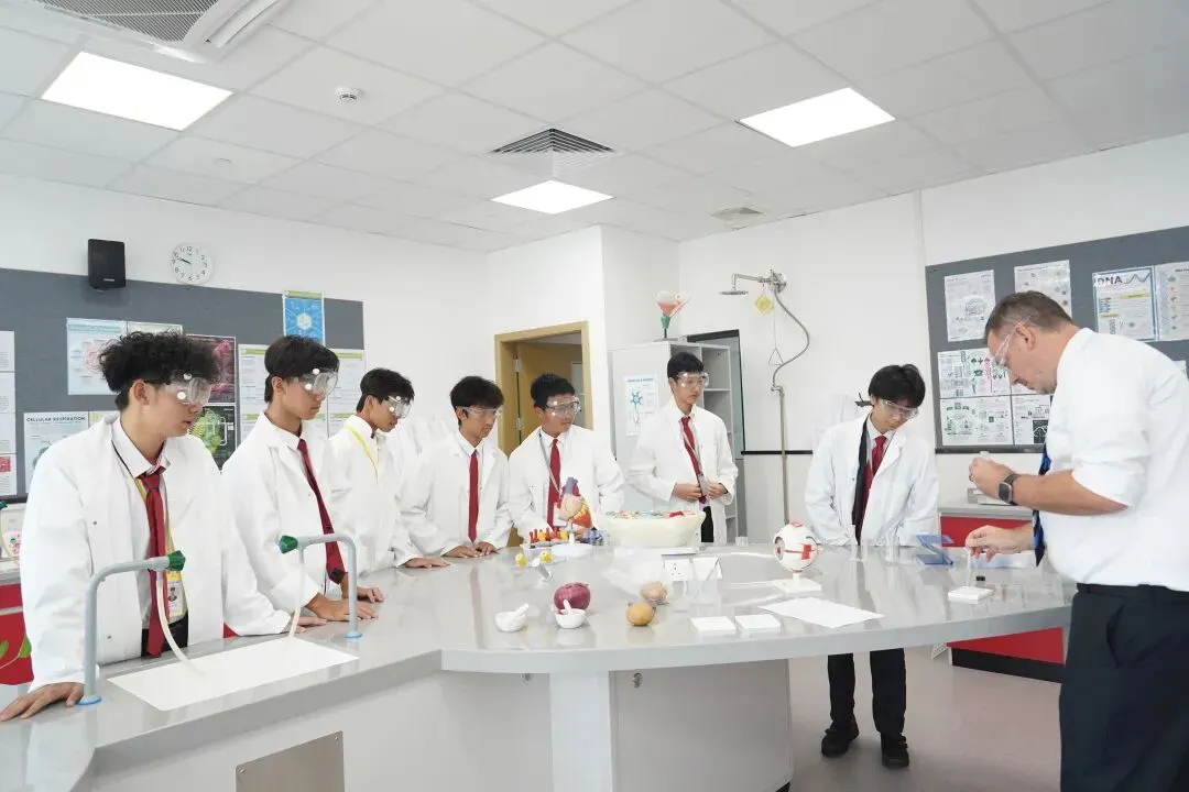 中考在即,除了“独木桥”,你是否看过这条通往世界的路?-第13张图片-四季读书网