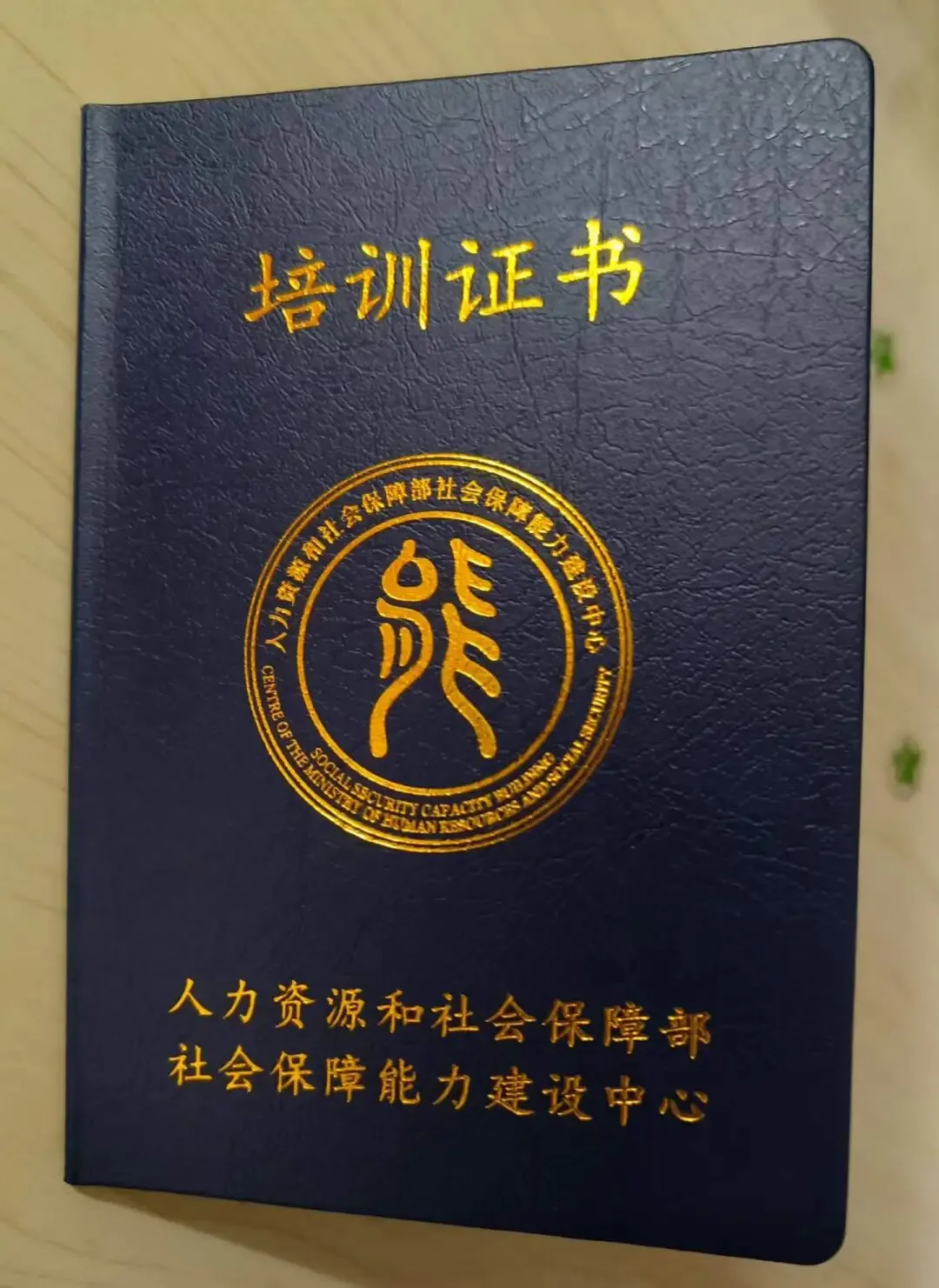 考试通知 | 2026年6月28日人社部能建中心医疗陪诊顾问(陪诊师)全国统考正式报名(重点题库、考等全流程指导)-第2张图片-四季读书网