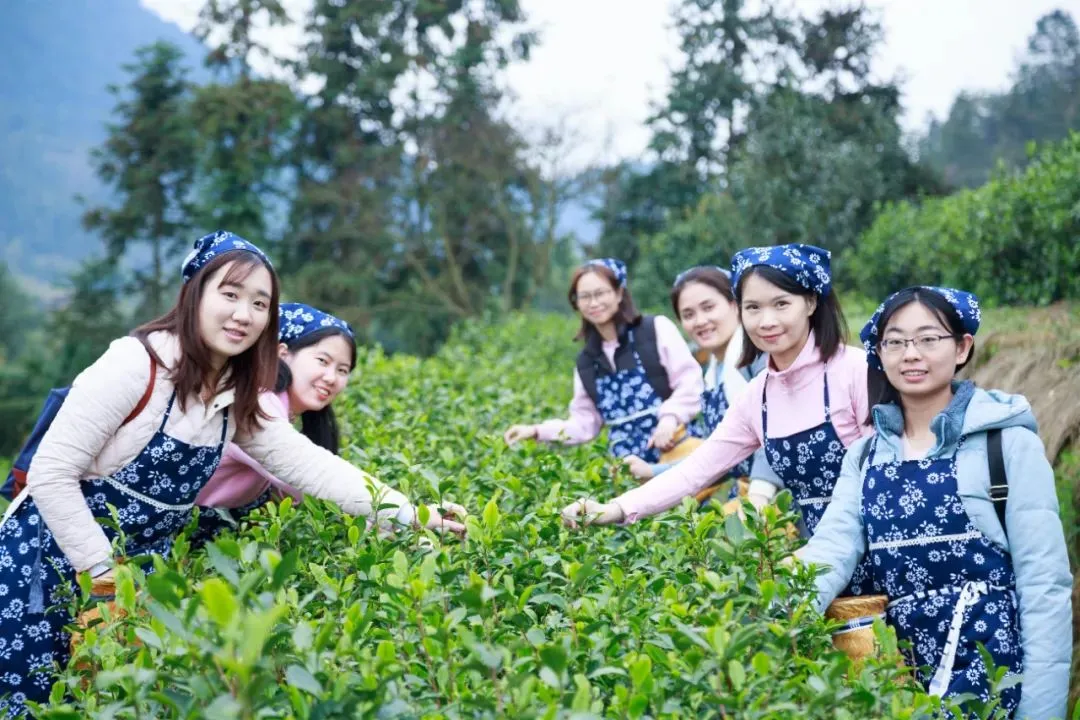 中考、高考考生请注意!假期来上犹,系列优惠政策来啦-第48张图片-四季读书网