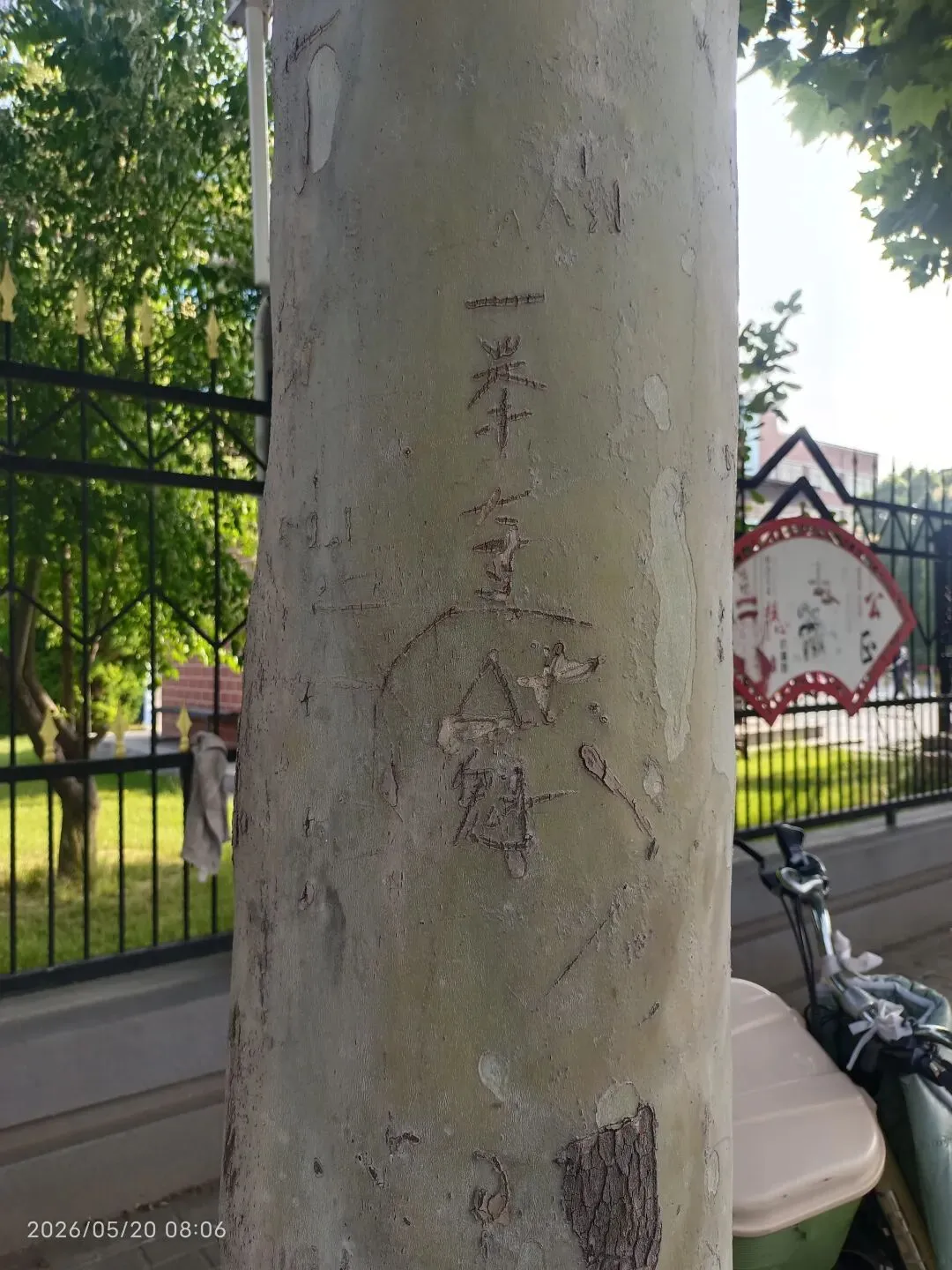 高三模拟考试送考-第5张图片-四季读书网