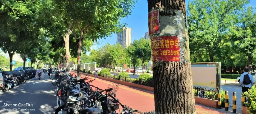 小中考冲刺周:记录备考路上的点点滴滴-第1张图片-四季读书网 小中考冲刺周:记录备考路上的点点滴滴-第1张图片-四季读书网