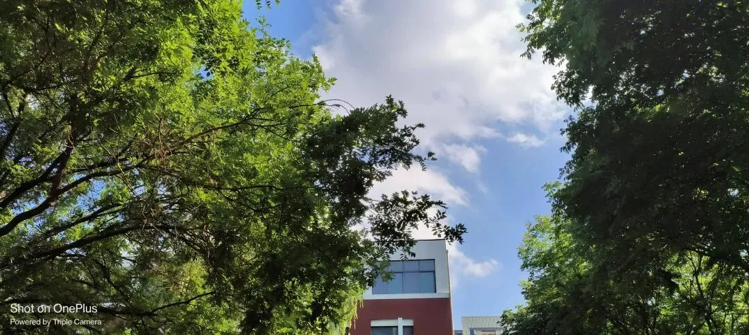 小中考冲刺周:记录备考路上的点点滴滴-第4张图片-四季读书网 小中考冲刺周:记录备考路上的点点滴滴-第4张图片-四季读书网