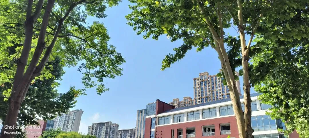 小中考冲刺周:记录备考路上的点点滴滴-第5张图片-四季读书网 小中考冲刺周:记录备考路上的点点滴滴-第5张图片-四季读书网