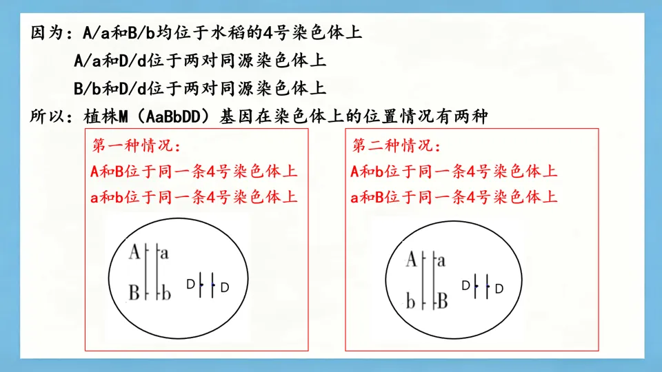 慢慢解真题|遗传基本规律(9):基因互作与连锁分析(2025年四川卷)-第7张图片-四季读书网