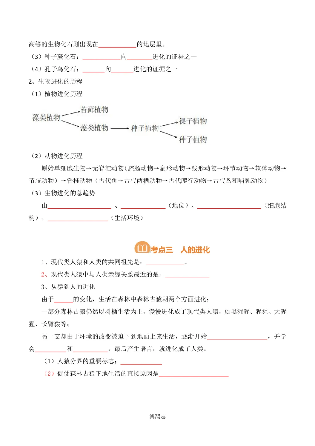 中考专项生物 考点清单17 生命起源和生物进化-第6张图片-四季读书网 中考专项生物 考点清单17 生命起源和生物进化-第6张图片-四季读书网