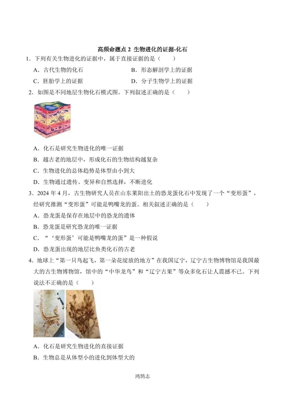 中考专项生物 考点清单17 生命起源和生物进化-第10张图片-四季读书网 中考专项生物 考点清单17 生命起源和生物进化-第10张图片-四季读书网