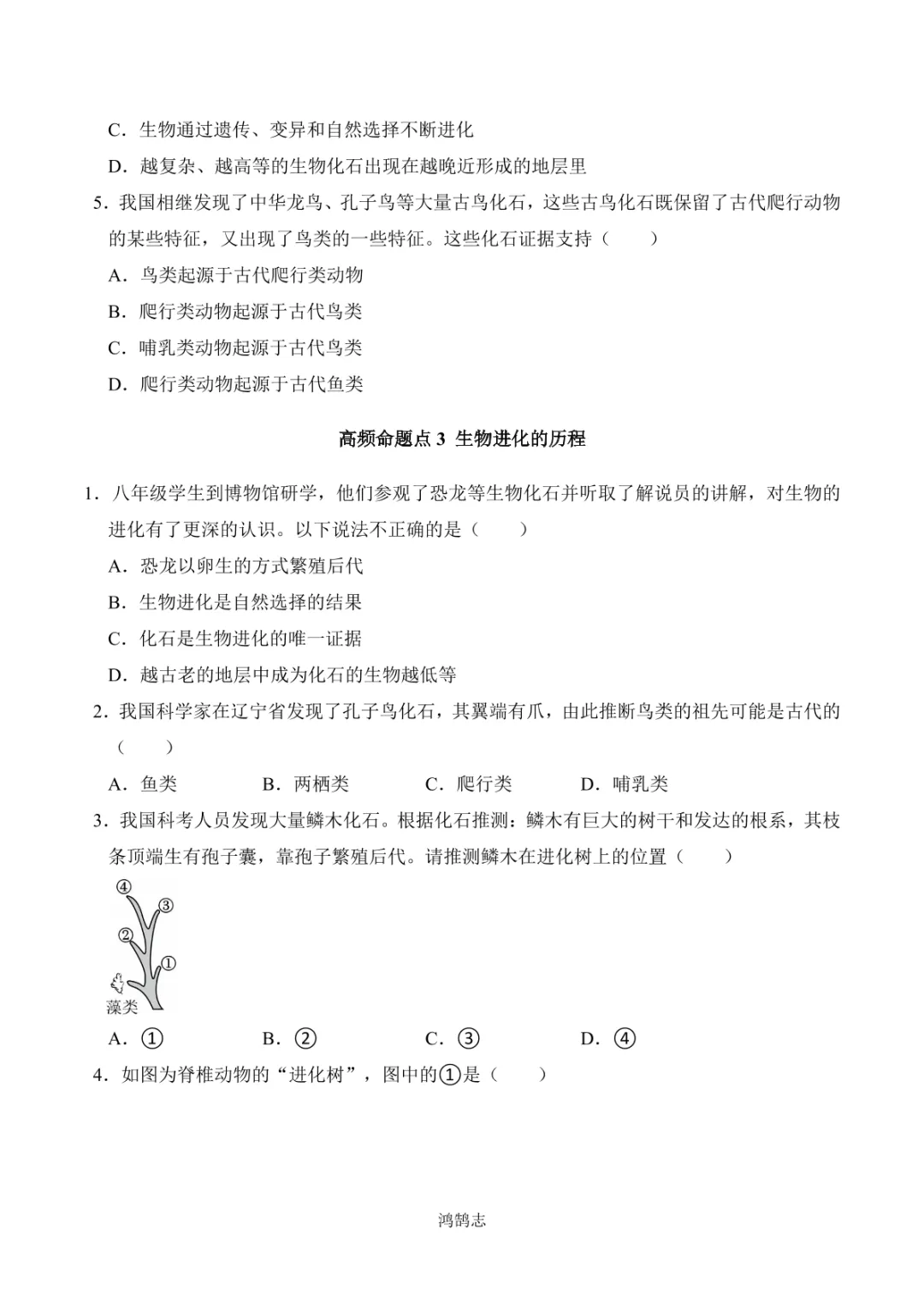 中考专项生物 考点清单17 生命起源和生物进化-第11张图片-四季读书网 中考专项生物 考点清单17 生命起源和生物进化-第11张图片-四季读书网