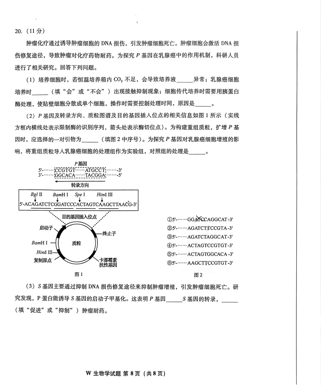 2026年安徽省高考试卷(生物学)-第8张图片-四季读书网
