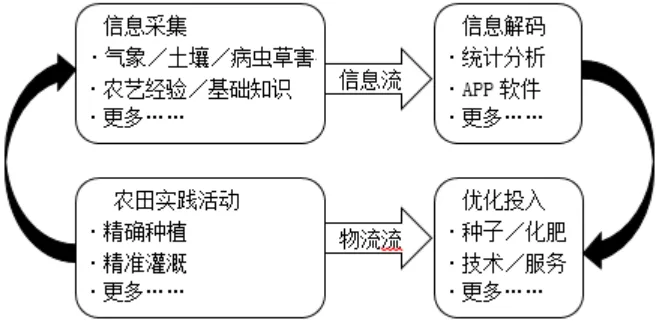 【鸣识优学家】中考地理·真题分类卷·认识国家2.0(十二)美国·澳大利亚-第7张图片-四季读书网 【鸣识优学家】中考地理·真题分类卷·认识国家2.0(十二)美国·澳大利亚-第7张图片-四季读书网