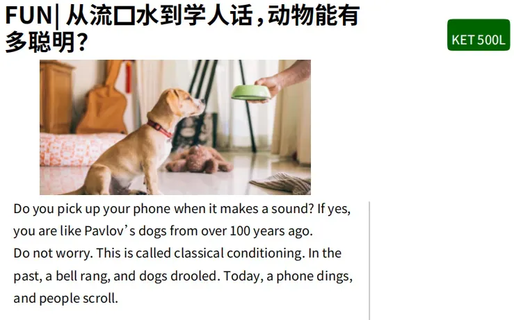 高考英语试卷刷屏,有人直呼“完蛋,直接零分”,我却意外发现了3个真相……-第8张图片-四季读书网 高考英语试卷刷屏,有人直呼“完蛋,直接零分”,我却意外发现了3个真相……-第8张图片-四季读书网