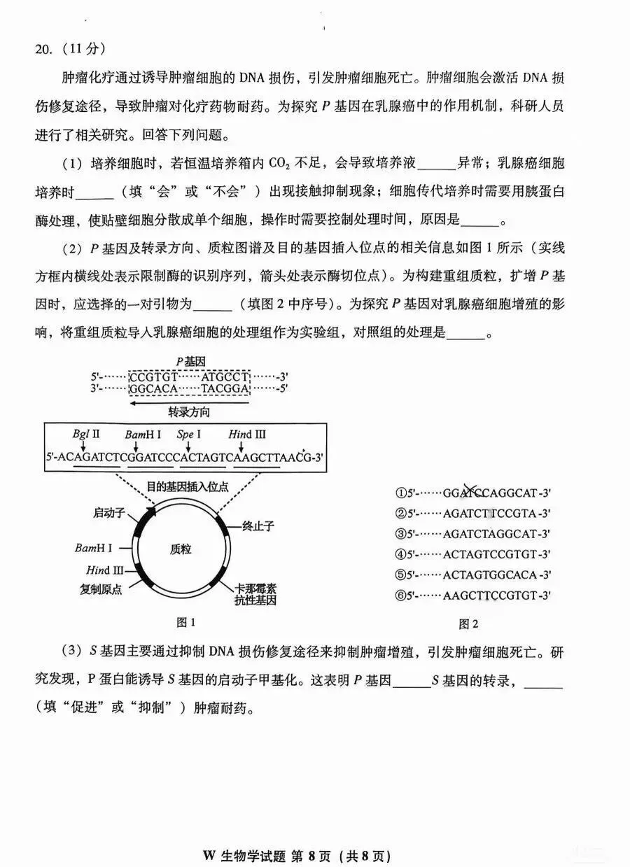 2026安徽省高考生物真题-第8张图片-四季读书网
