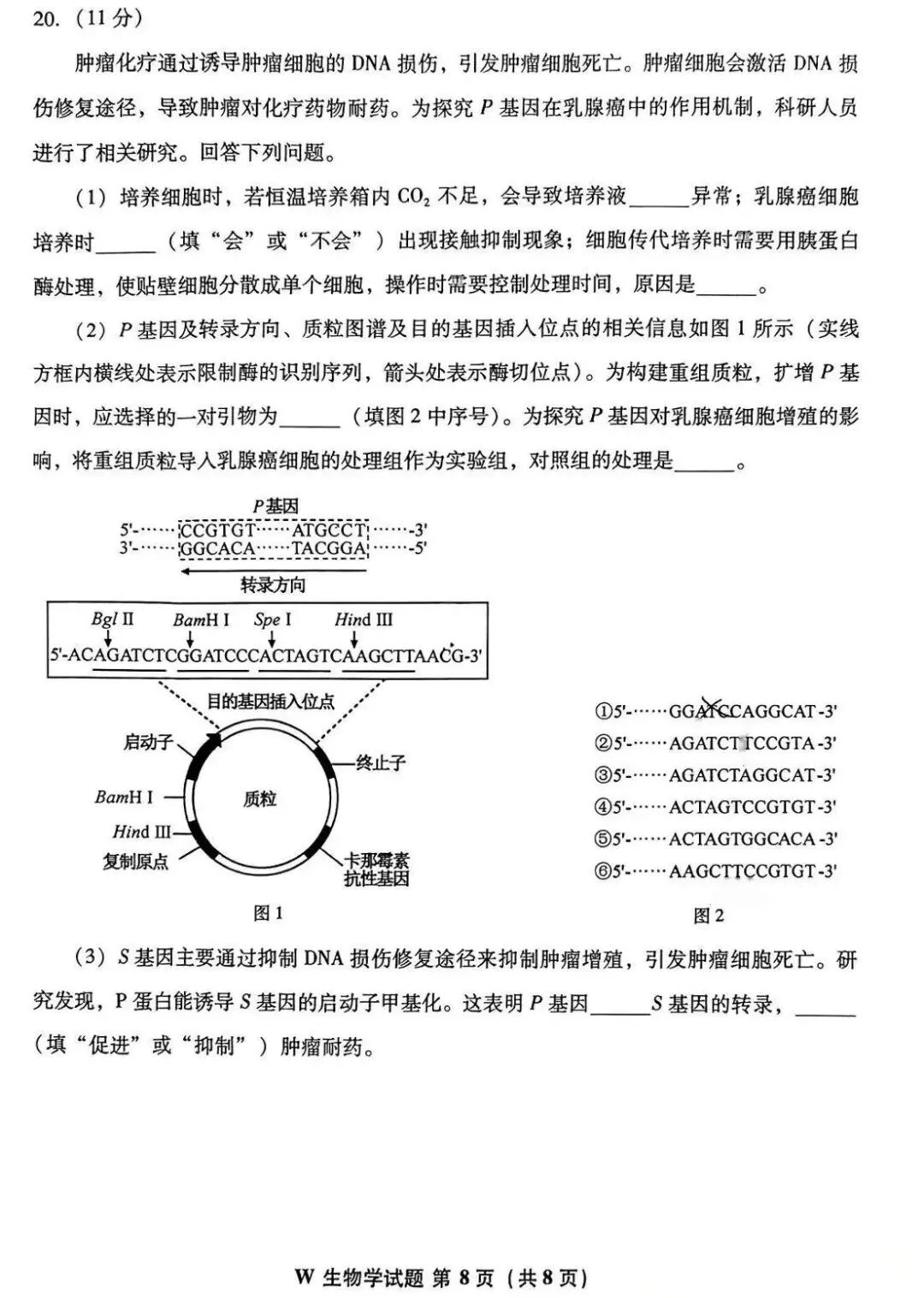高考真题 | 2026年高考生物学(安徽卷)-第11张图片-四季读书网 高考真题 | 2026年高考生物学(安徽卷)-第11张图片-四季读书网