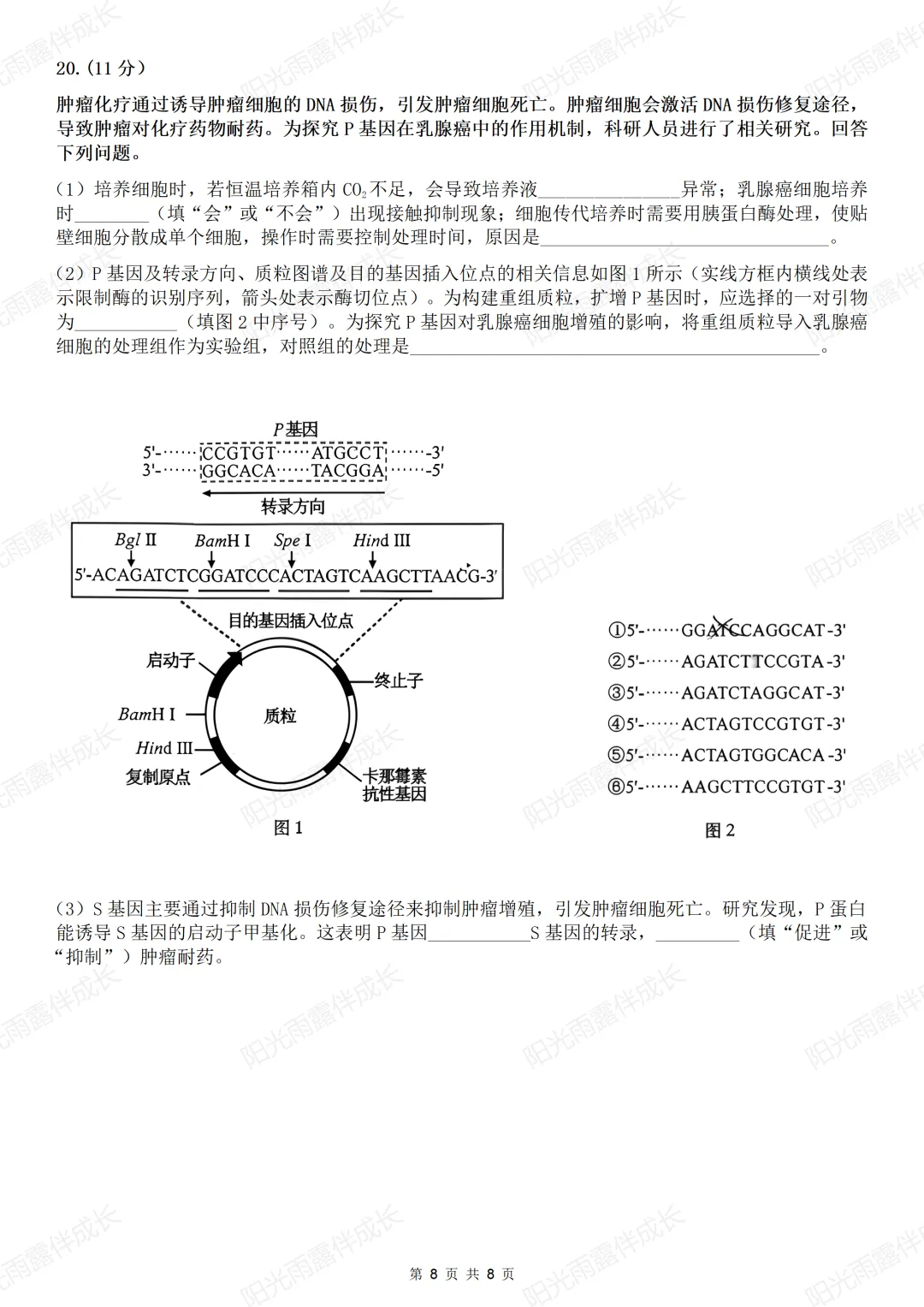 高考真题 | 2026年高考生物学(安徽卷)-第19张图片-四季读书网 高考真题 | 2026年高考生物学(安徽卷)-第19张图片-四季读书网
