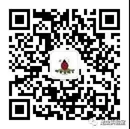 中考冲刺最后阶段:稳住孩子心态,比纠结分数更重要-第7张图片-四季读书网 中考冲刺最后阶段:稳住孩子心态,比纠结分数更重要-第7张图片-四季读书网