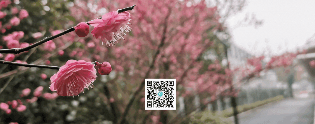 中考心理加油站|稳住心态,做自己的定海神针-第11张图片-四季读书网 中考心理加油站|稳住心态,做自己的定海神针-第11张图片-四季读书网
