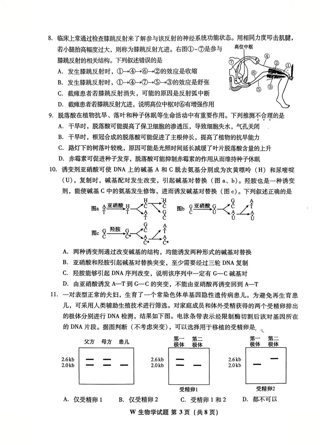2026高考生物真题|安徽卷-第3张图片-四季读书网