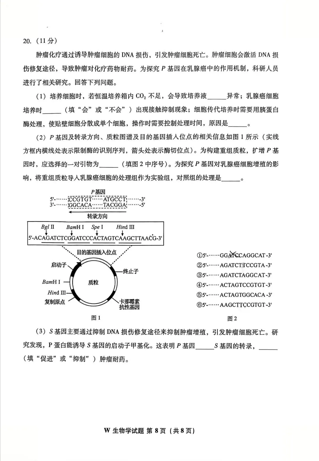 2026高考生物真题|安徽卷-第8张图片-四季读书网
