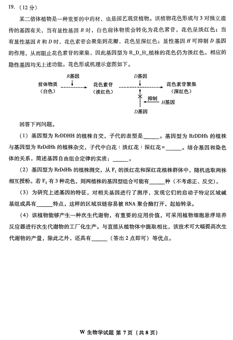 2026年安徽卷生物试题真题-第8张图片-四季读书网
