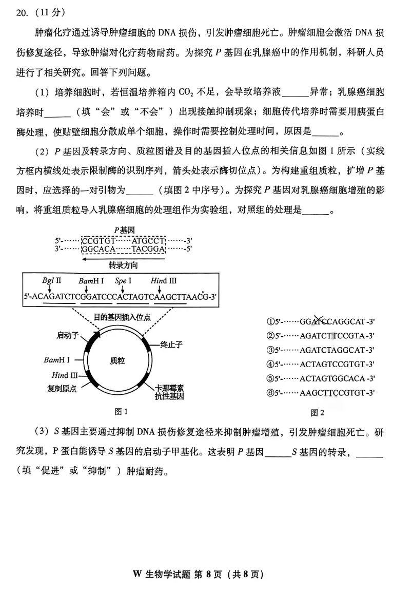 2026年安徽卷生物试题真题-第9张图片-四季读书网