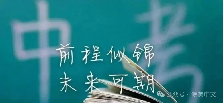 2026年安徽中考·全卷预测押题|预祝2026届考生“一枝丹桂鳌头折,万里青云足下生”!-第12张图片-四季读书网