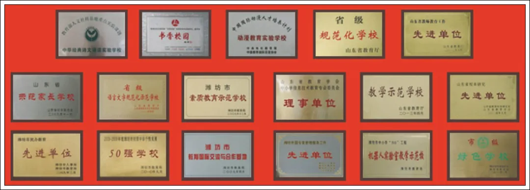 中考赛道上的精英摇篮|潍坊北海中学初中部:以极致培育,让优秀根植成长-第4张图片-四季读书网