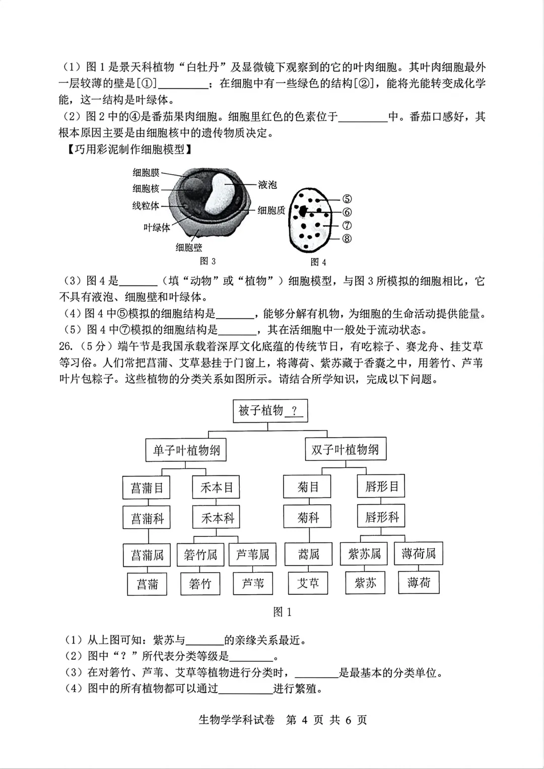 道外区八年级下模拟考试卷(二)+答案【2026】【生物】【高清电子版】-第5张图片-四季读书网 道外区八年级下模拟考试卷(二)+答案【2026】【生物】【高清电子版】-第5张图片-四季读书网