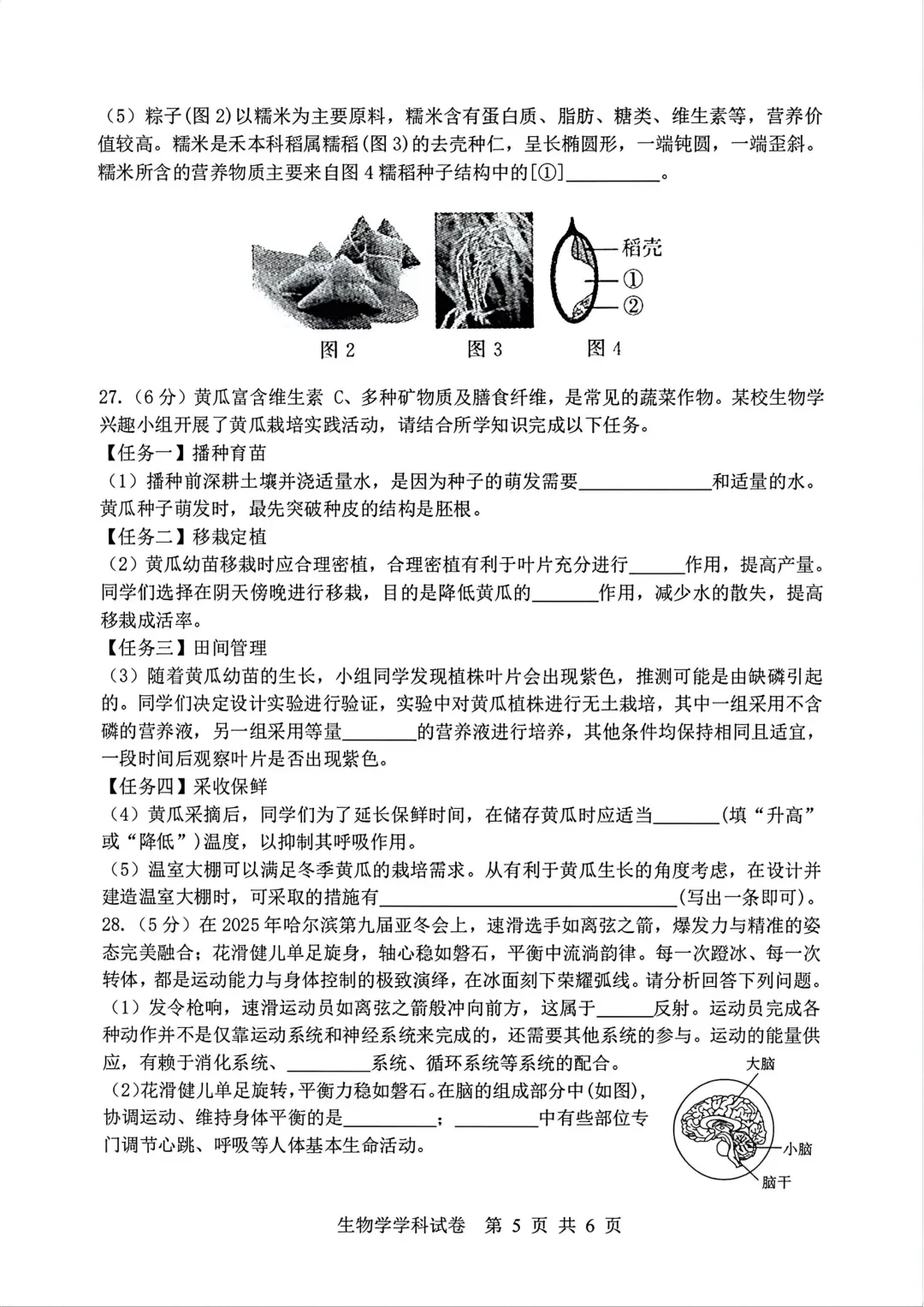道外区八年级下模拟考试卷(二)+答案【2026】【生物】【高清电子版】-第6张图片-四季读书网 道外区八年级下模拟考试卷(二)+答案【2026】【生物】【高清电子版】-第6张图片-四季读书网