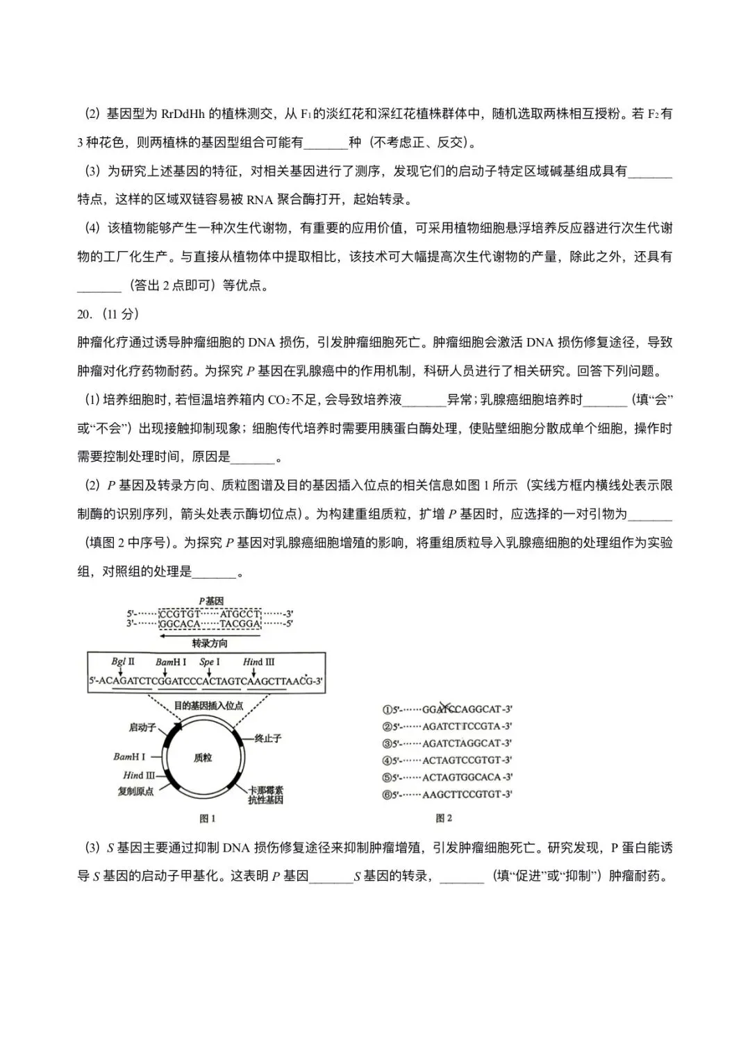 2026年安徽省高考生物试卷及答案-第8张图片-四季读书网