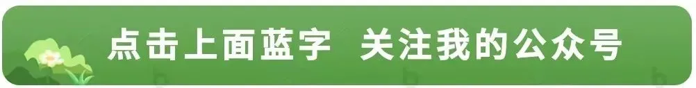 2026陕西高考语文真题及答案(全国II卷)-第1张图片-四季读书网