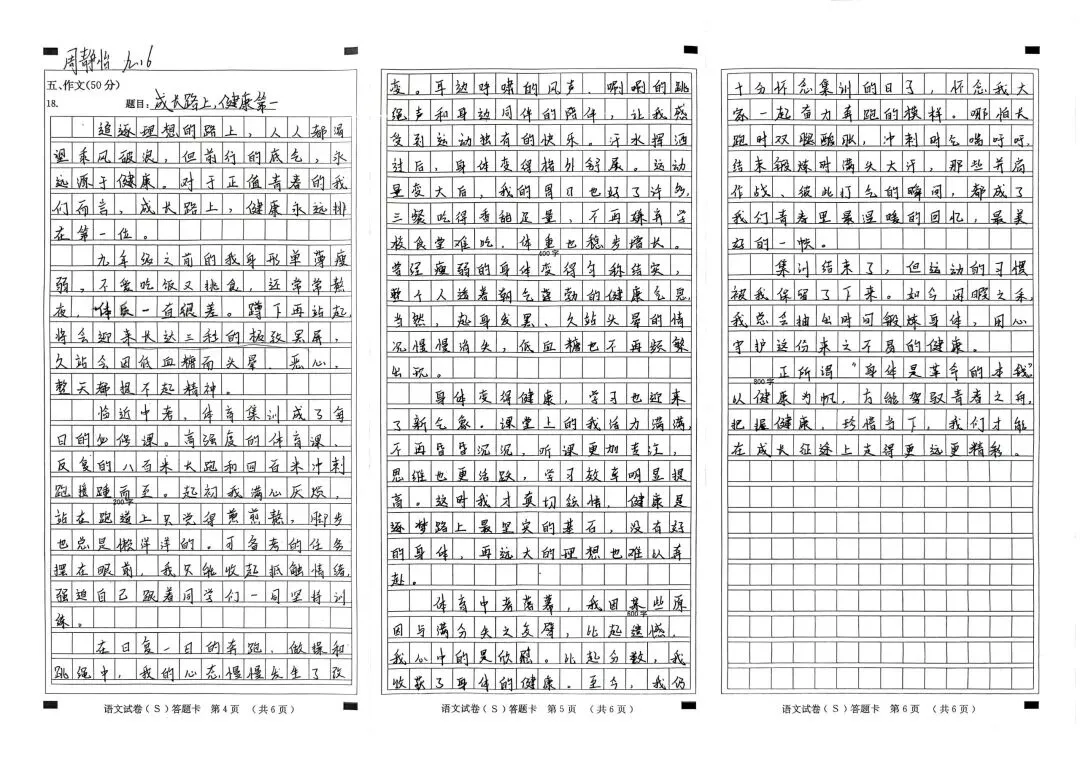 备战中考作文练:“AI”与“健康”两篇二选一-第1张图片-四季读书网