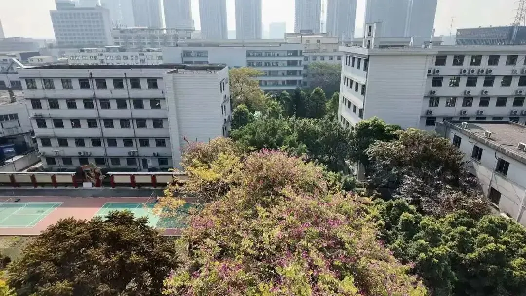 2026年广州中考择校 | 广州港技工学校-第13张图片-四季读书网