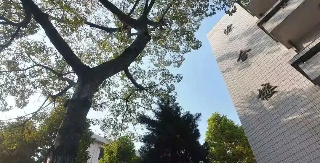 2026年广州中考择校 | 广州港技工学校-第14张图片-四季读书网