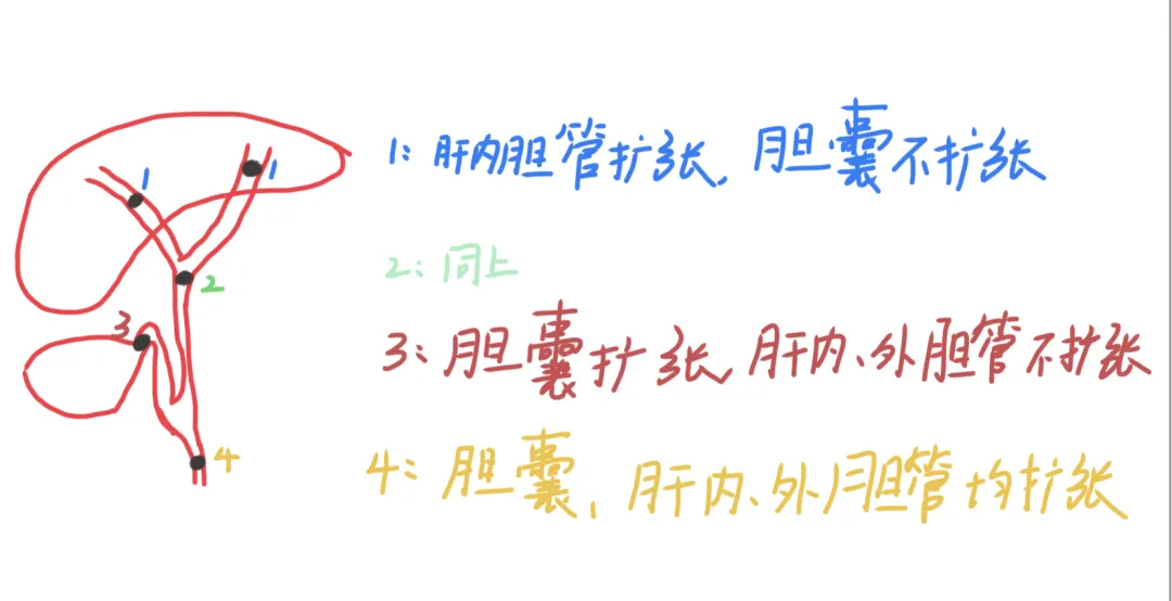 2026执业医师真题考点自查 1 期(6.9 20221️⃣)-第5张图片-四季读书网 2026执业医师真题考点自查 1 期(6.9 20221️⃣)-第5张图片-四季读书网