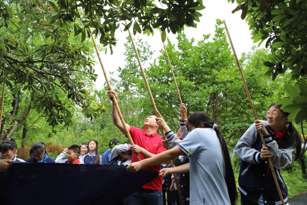 【助力中考】苦杨成甜,青春无悔——“扬眉吐气·采杨梅”主题教育活动-第13张图片-四季读书网 【助力中考】苦杨成甜,青春无悔——“扬眉吐气·采杨梅”主题教育活动-第13张图片-四季读书网